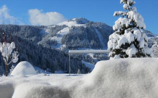 Chalet Gypaète La Clusaz