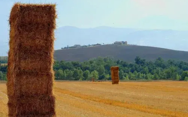 La Casa Di Dina