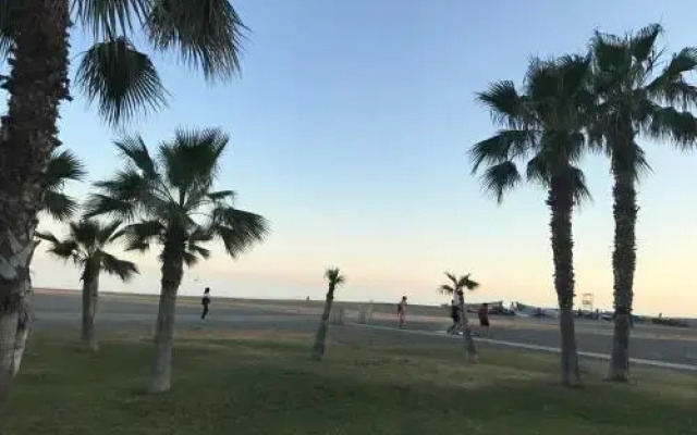 Marques De Larios Plaza Las Flores