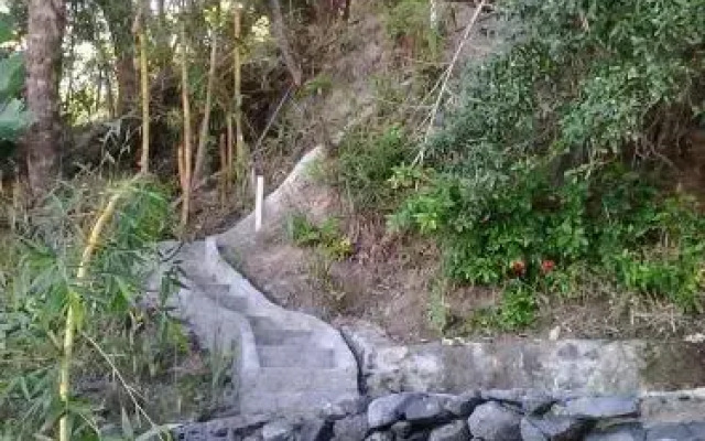 Casa Shuhari