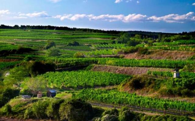 Bauernhof Winzerhof Stauffer