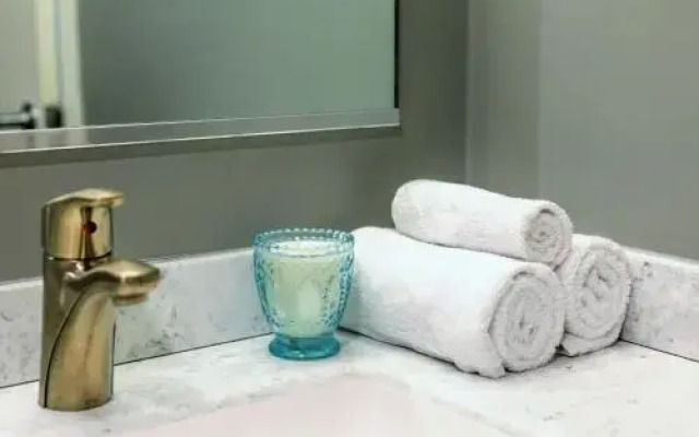 Stay Alfred on 12th Street