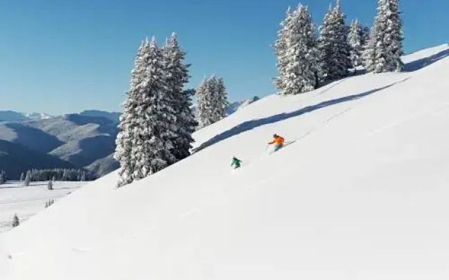 Lionshead Village In Vail