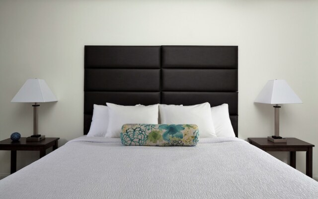 Stay Alfred at The Broderick