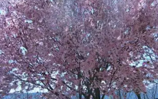 OS ORMOS Casa Rural y Apartamentos