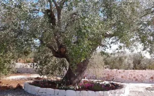 Trulli & Grotte Exclusive House Resort