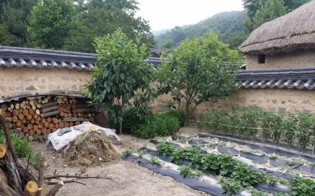 Nakwon Hanok Guesthouse