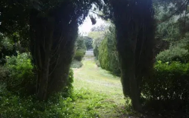 Garden Lucia