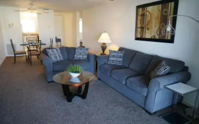 Cape Palms 209