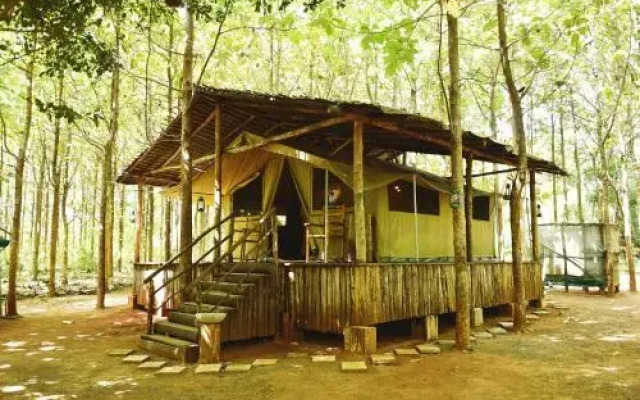 Royal Retreat Sigiriya Camping Site