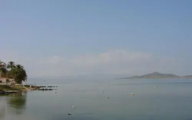 Apartamentos Dominique