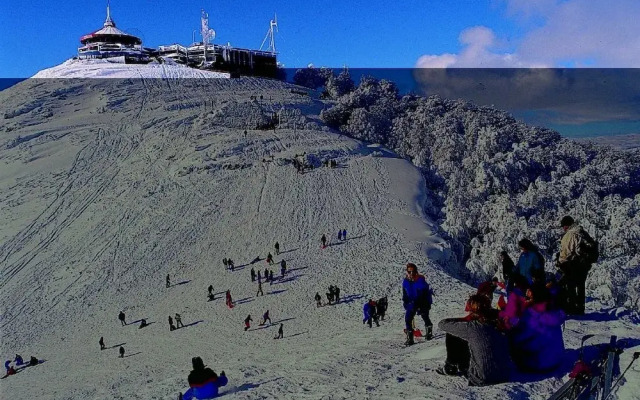 Cabañas Las Nieves Bariloche