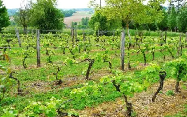 Le Manoir de Gaboria B&B