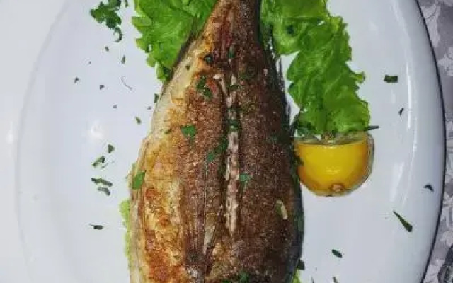 Shpija e Gjyshit