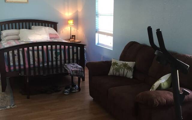 810 Sanddollar Home 810 by RedAwning