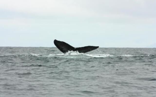 Hotel Nautilos Nuquí