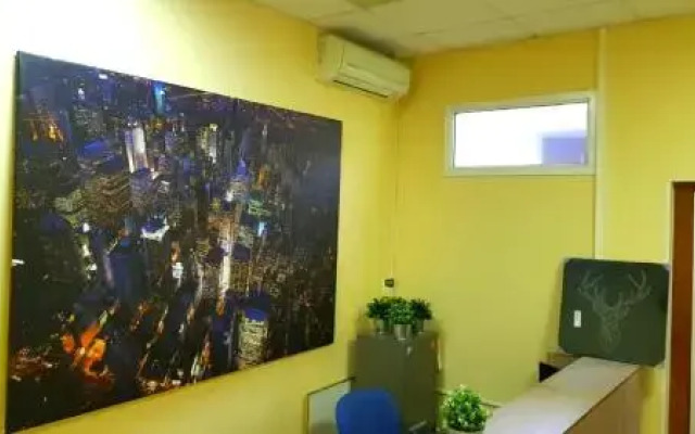 Bolshoj Gorod Hostel