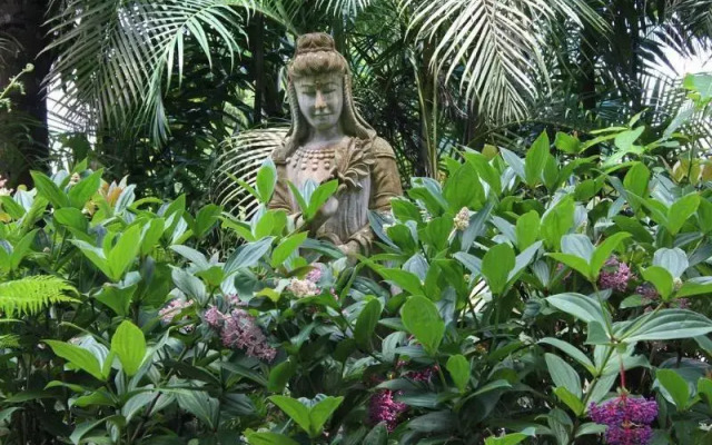 Atherton Rainforest Motor Inn