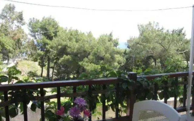 Litsa Studios