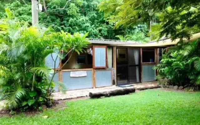 Butterfly Studio