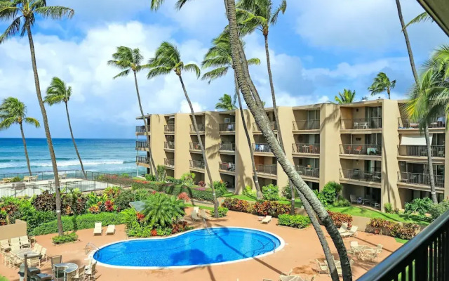 Hale Ono Loa #316 by RedAwning