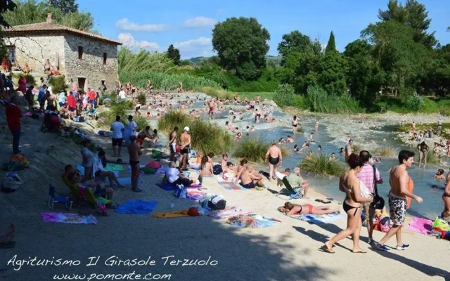 Il Girasole Terzuolo