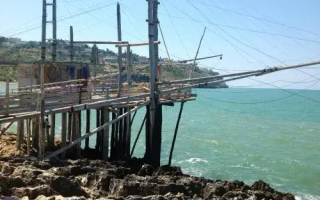 Casa Carolina Santa Maria