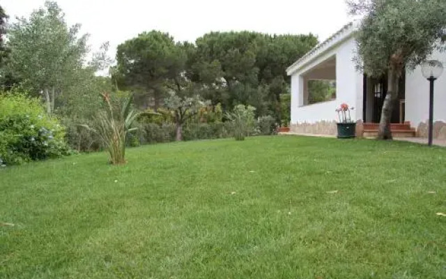 Almà