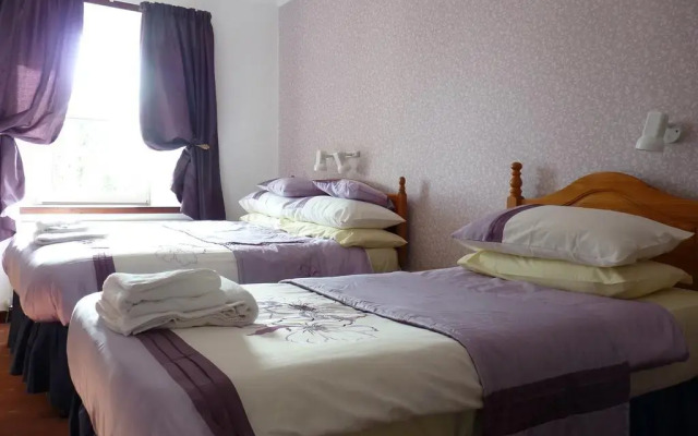 Brown Trout Hotel