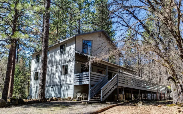 Cabin Among the Firs