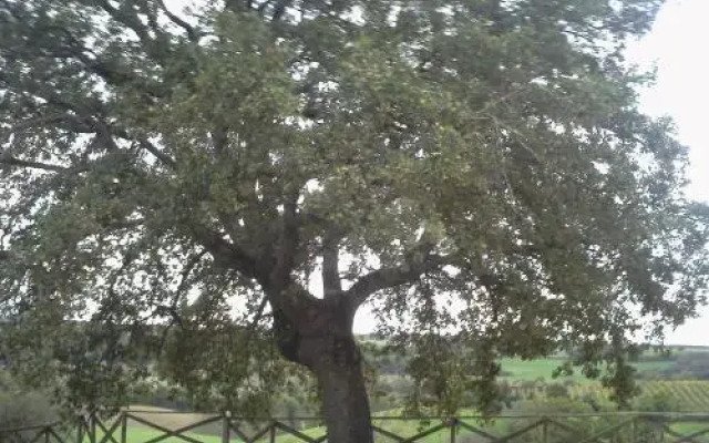 Agriturismo il Mercante