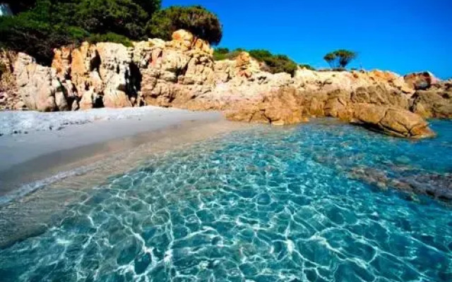 La Ginestra