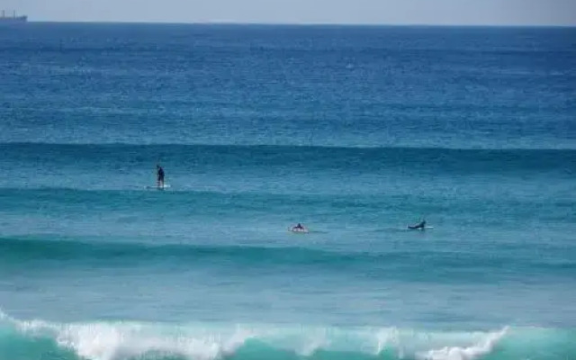 Boardies at the Bay