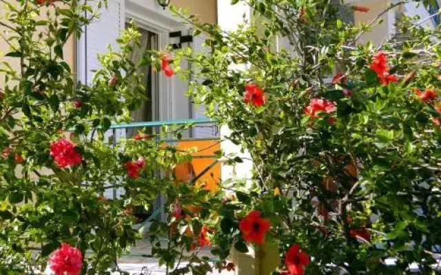 Irene Studios Kefalonia