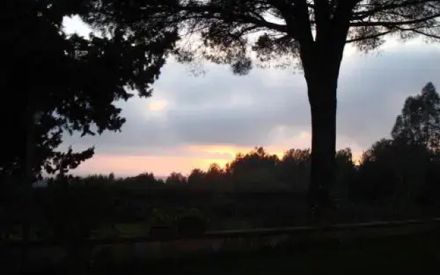 Ai Cipressi