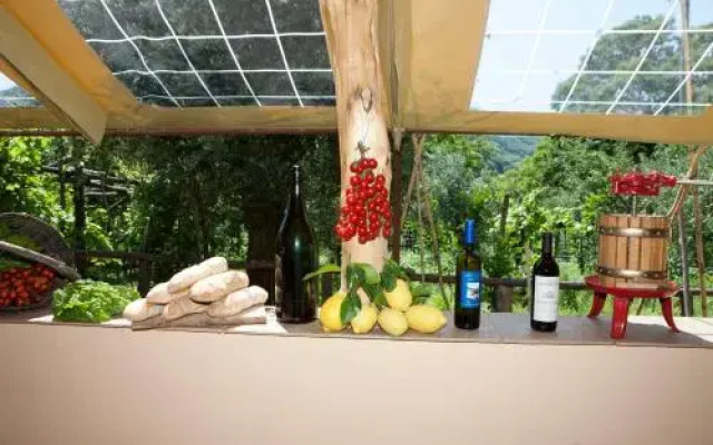 Agriturismo da Regina