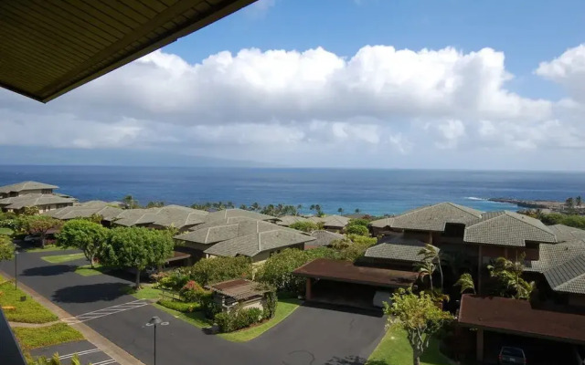 Ridge 1721 Gold Ocean View by RedAwning