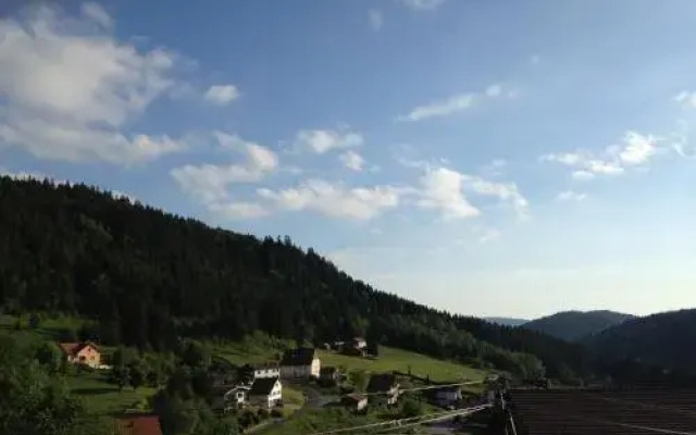 Chalet Le Roncing