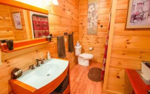 Northern Exposure Lodge - 3 Br Cabin