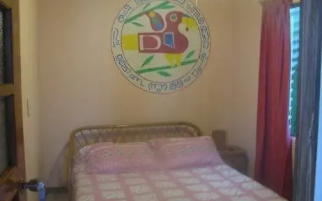Vida Tropical Bed and Breakfast