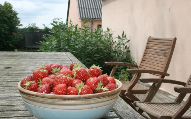 Sandaasen Ecological Farm