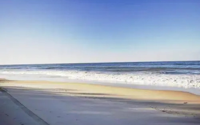 Crystal Waters on the Beach