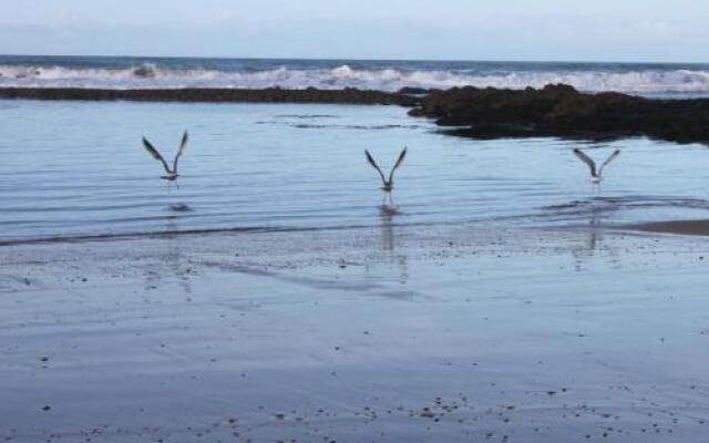 Locations Les Marinettes La Chaume