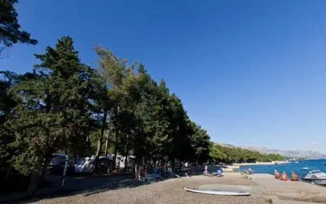 Camp Sibuljina
