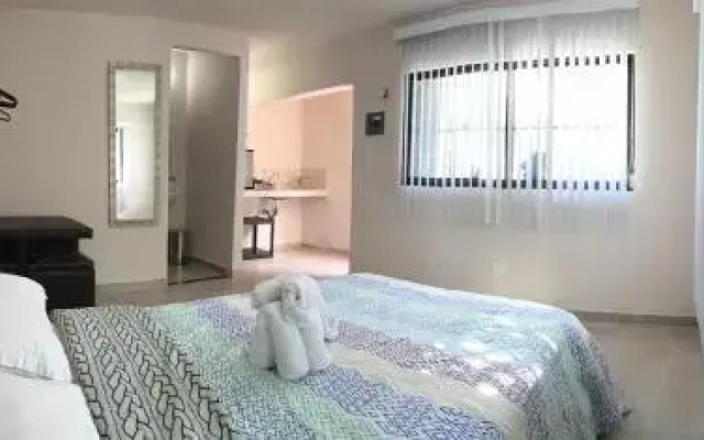 Casa 244