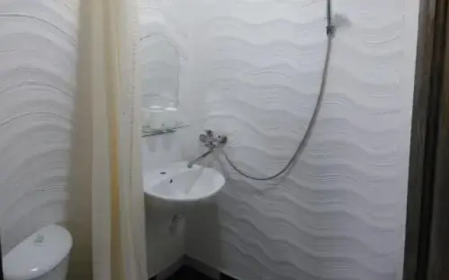 Отель Eleon
