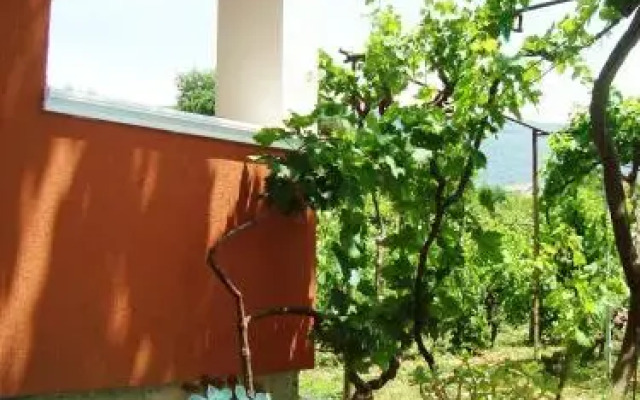 Apartments Rustica