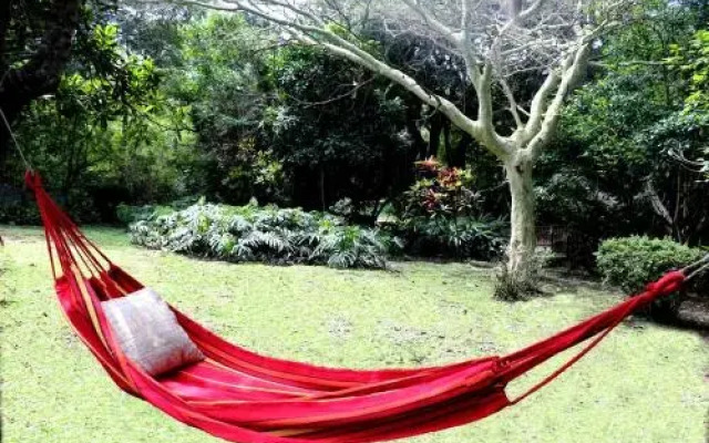 Barefoot B&B