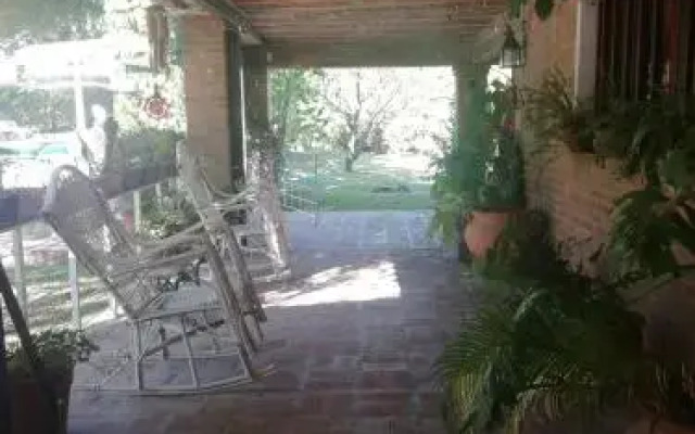 Algarrobos del Mirador