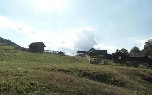 Eco Village Goles